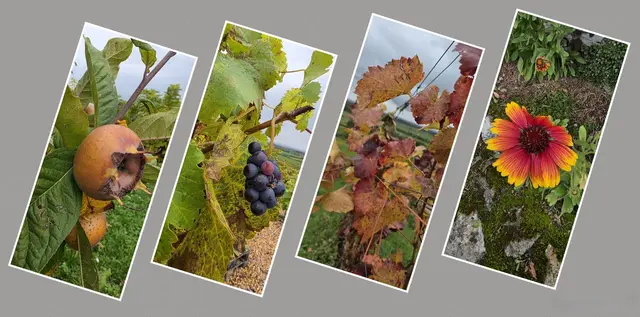 Foto: privat Sibylle Tröber