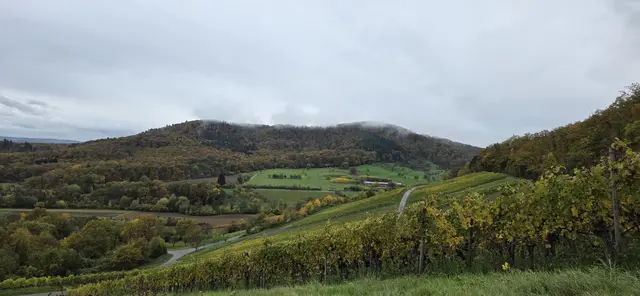 Foto: privat Sibylle Tröber