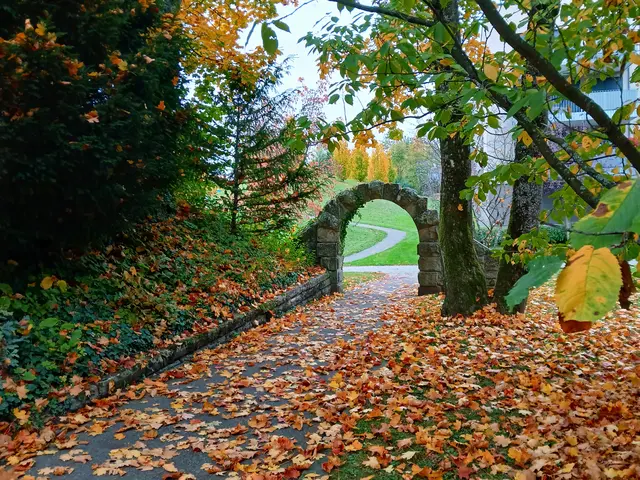 Bad Rappenau  | Foto: sigischlottke