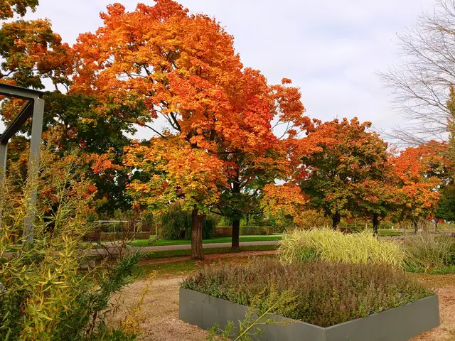 Salinenpark  | Foto: sigischlottke