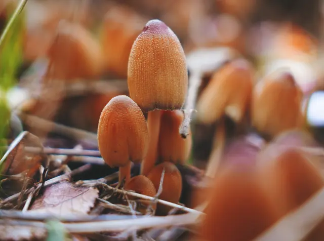 Foto: Sarah Aksamit-Grolik