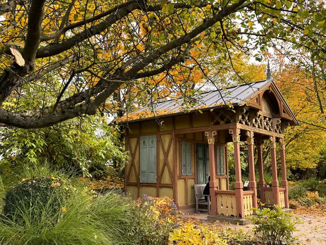 Foto: Heide Böllinger aus Bad Friedrichshall