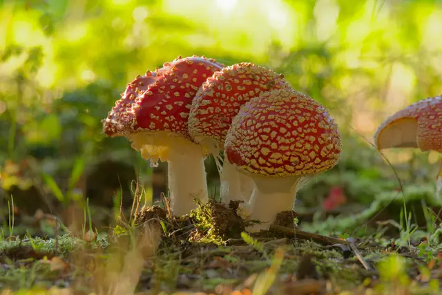 Foto: Eigenes Bild TB