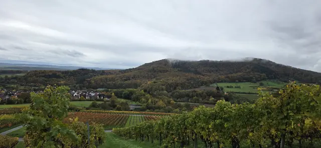 Foto: privat Sibylle Tröber