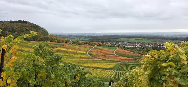 Foto: privat Sibylle Tröber