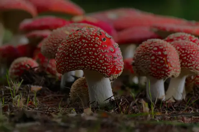 Foto: Eigenes Bild TB