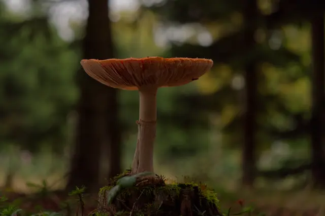 Foto: Eigenes Bild TB