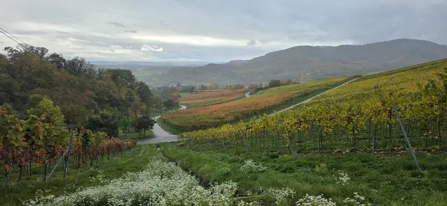 Foto: privat Sibylle Tröber