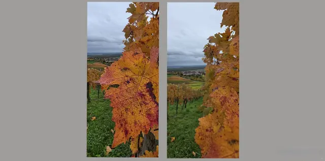 Foto: privat Sibylle Tröber