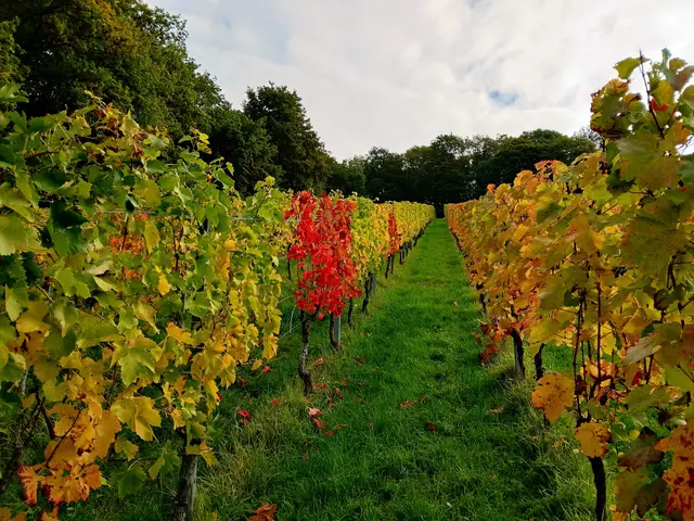 Gellmersbach  | Foto: sigischlottke