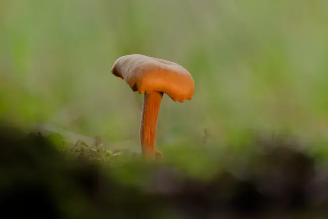 Foto: Eigenes Bild TB