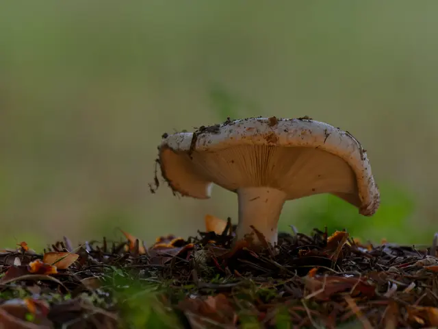 Foto: Eigenes Bild TB