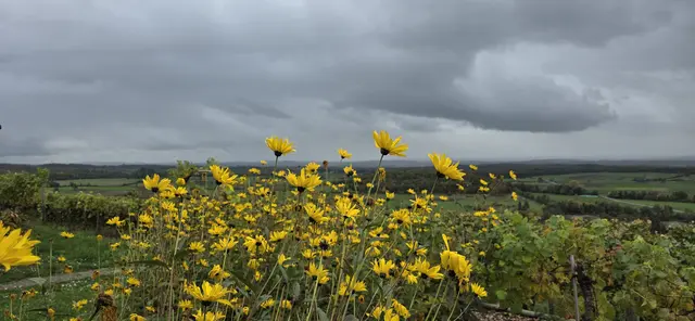 Foto: privat Sibylle Tröber