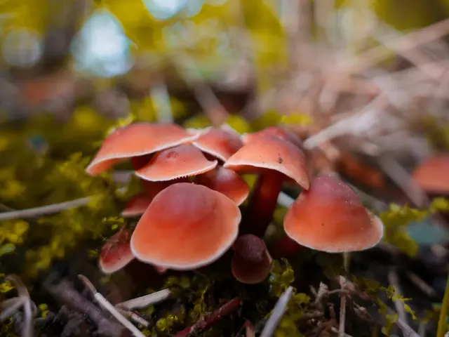 Foto: Sarah Aksamit-Grolik