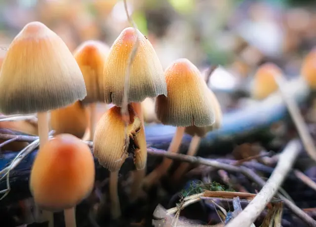 Foto: Sarah Aksamit-Grolik