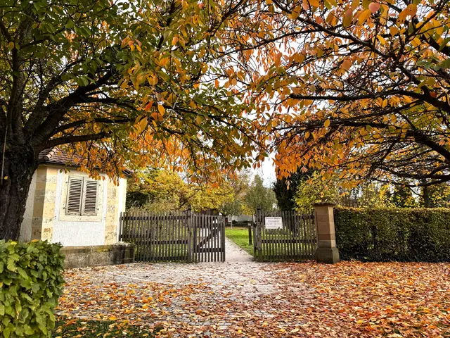 Foto: Heide Böllinger aus Bad Friedrichshall