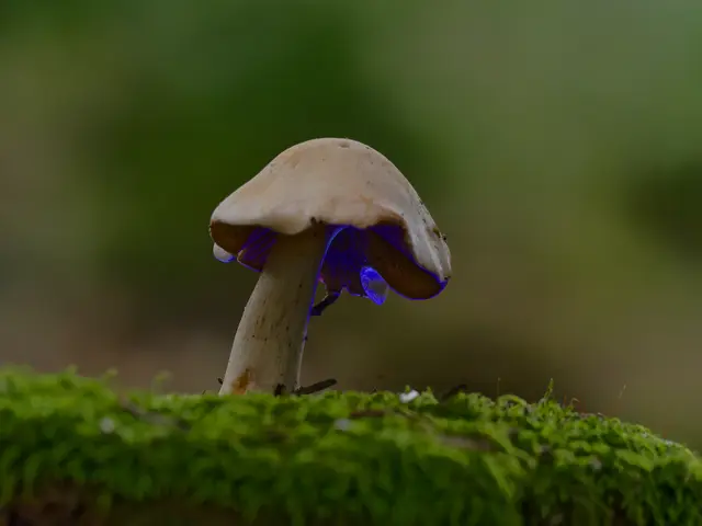 Foto: Eigenes Bild TB