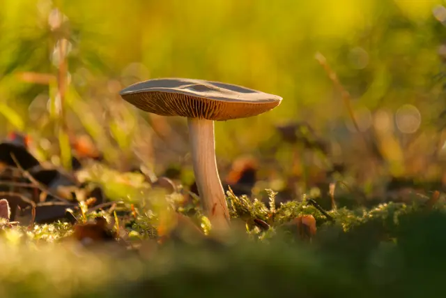 Foto: Eigenes Bild TB