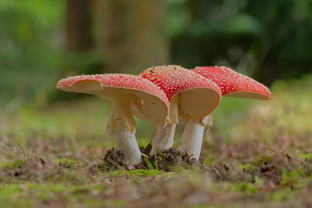 Foto: Eigenes Bild TB