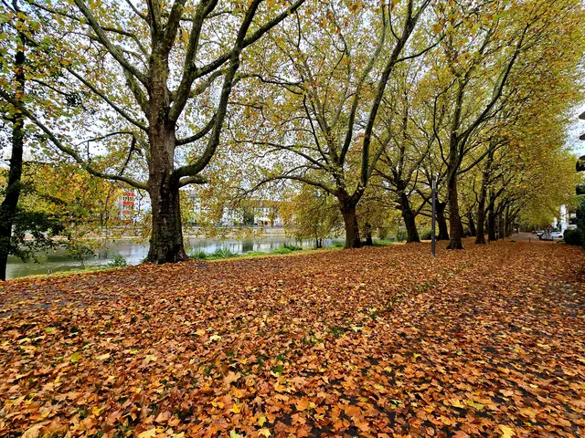 Foto: Heidrun Rosenberger