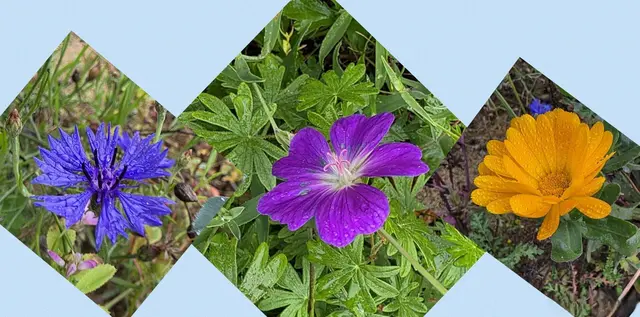 Foto: privat Sibylle Tröber