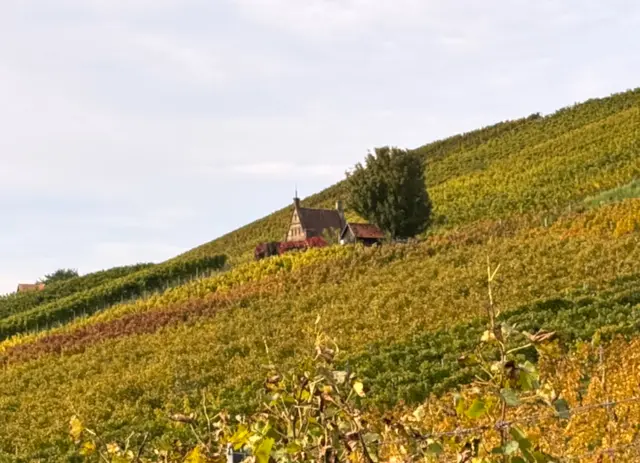 Foto: Heide Böllinger aus Bad Friedrichshall