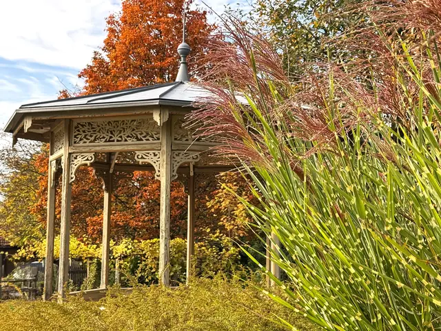 Foto: Heide Böllinger aus Bad Friedrichshall