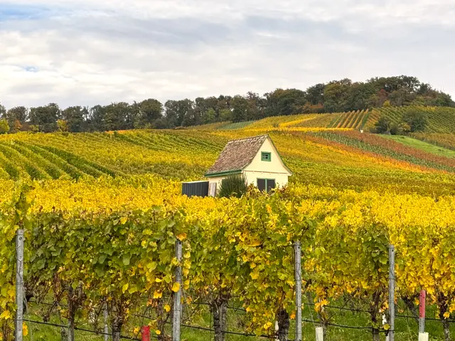 Foto: Heide Böllinger aus Bad Friedrichshall