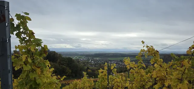 Foto: privat Sibylle Tröber