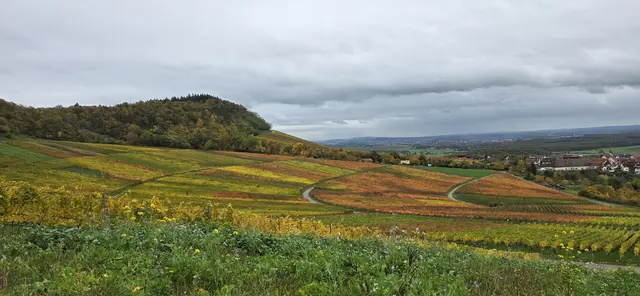Foto: privat Sibylle Tröber