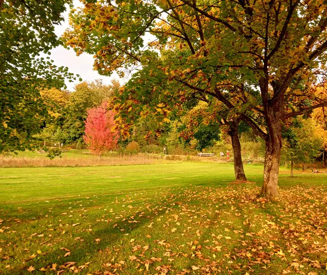 Salinenpark  | Foto: sigischlottke