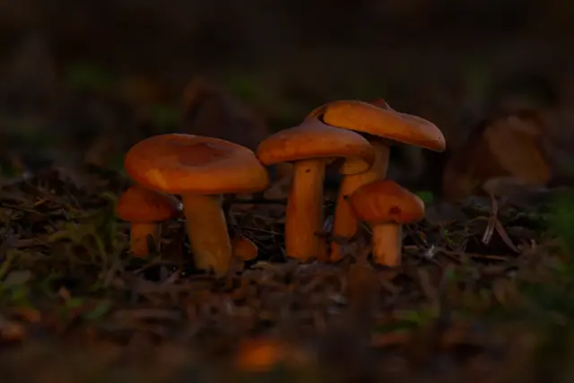 Foto: Eigenes Bild TB