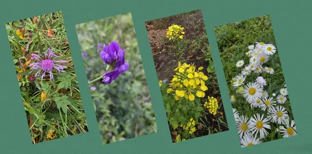 Foto: privat Sibylle Tröber