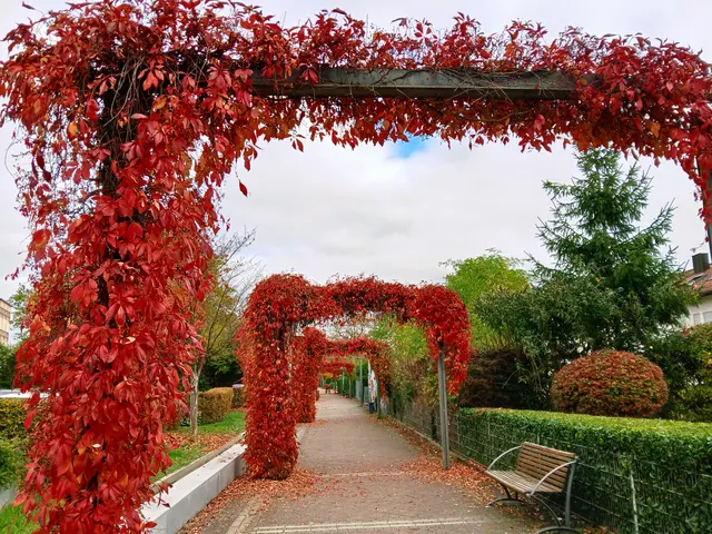 Grünspange zwischen Kurpark und Schlosspark Bad Rappenau.  | Foto: sigischlottke