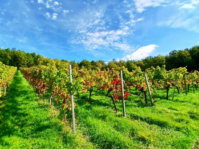 Gellmersbach  | Foto: sigischlottke