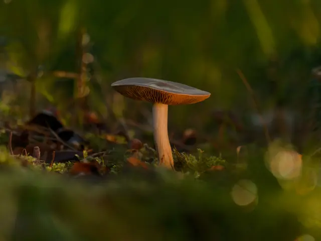 Foto: Eigenes Bild TB