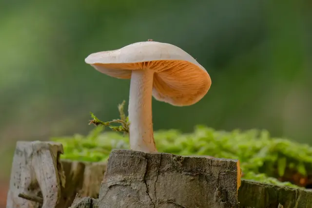 Foto: Eigenes Bild TB