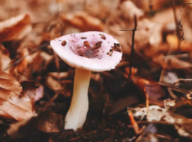 Foto: Sarah Aksamit-Grolik