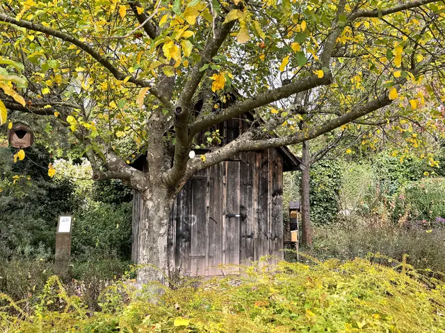 Foto: Heide Böllinger aus Bad Friedrichshall