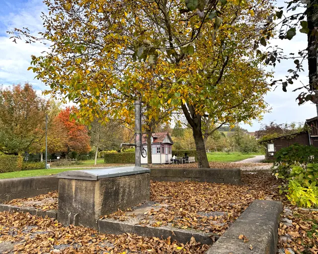 Foto: Heide Böllinger aus Bad Friedrichshall