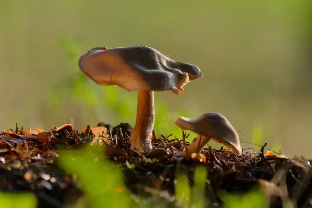 Foto: Eigenes Bild TB