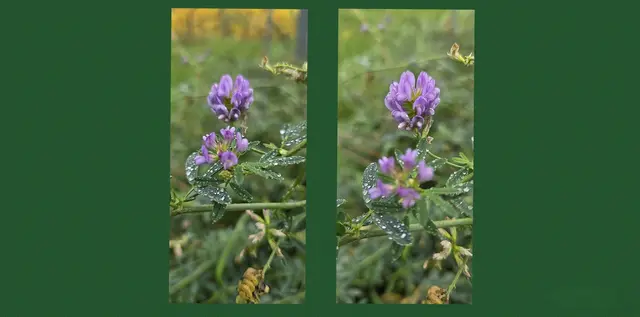 Foto: privat Sibylle Tröber