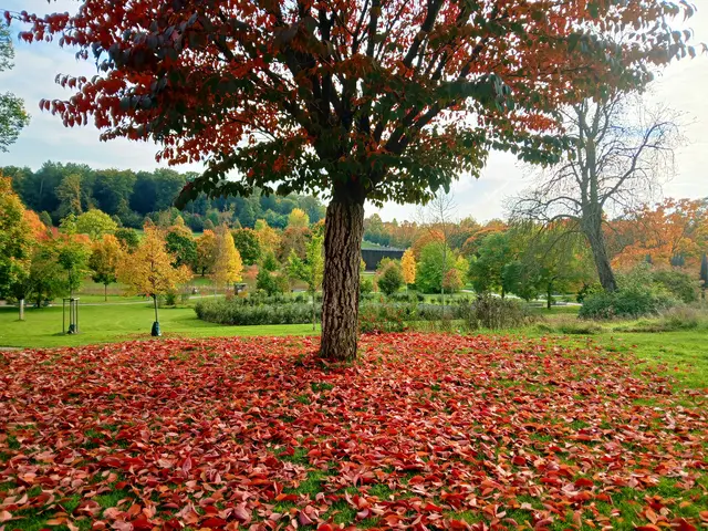 Salinenpark  | Foto: sigischlottke