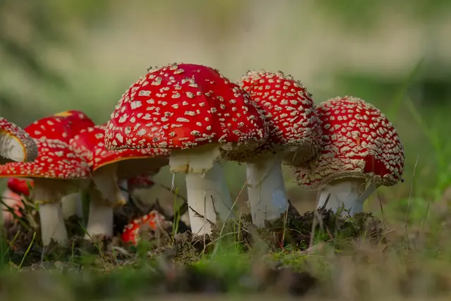 Foto: Eigenes Bild TB