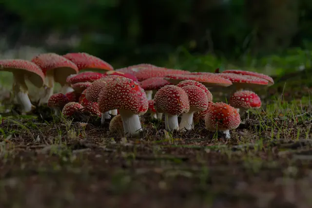 Foto: Eigenes Bild TB