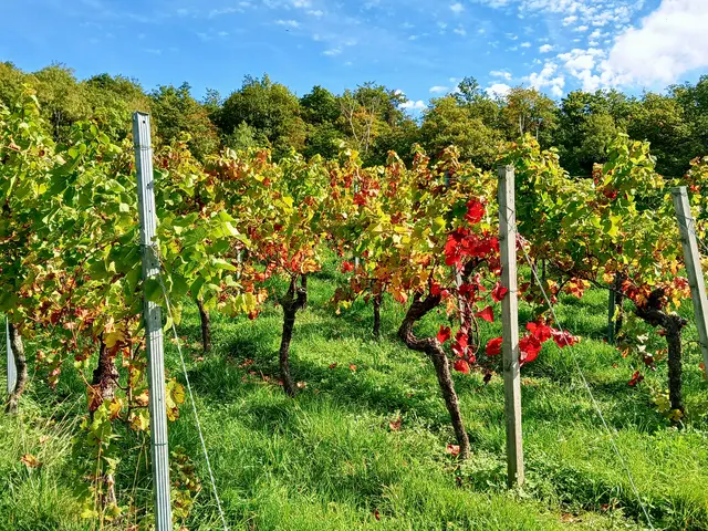 Gellmersbach  | Foto: sigischlottke