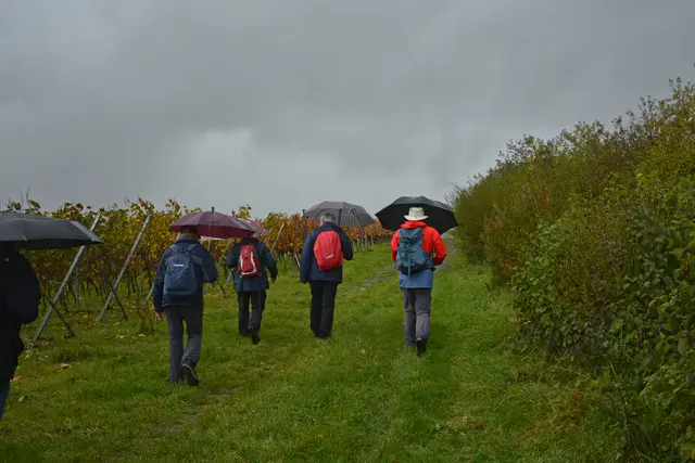 Gleich kommt was Größeres von oben herunter. Schnell zur Sängerhütte. | Foto: Michael Harmsen