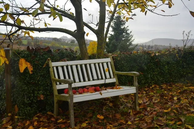 So langsam läßt der Regen nach und das Grau wird heller. Trotzdem will niemand auf der schönen Bank sitzen. Nur den Äpfeln gefällts. | Foto: Michael Harmsen