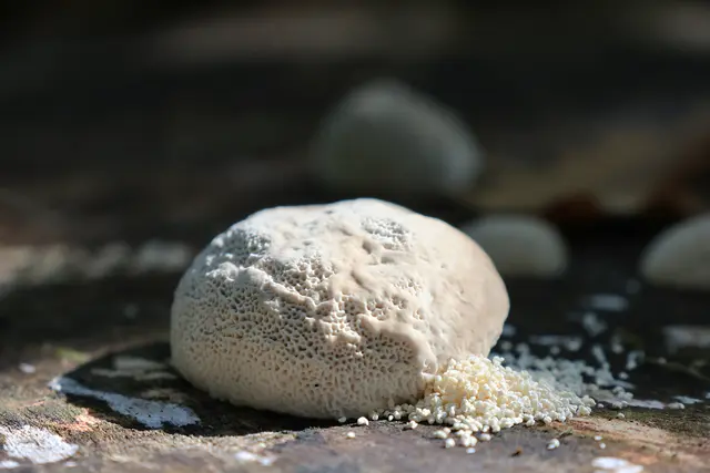 Auf jeden Fall sehr interessant ;-) | Foto: UD