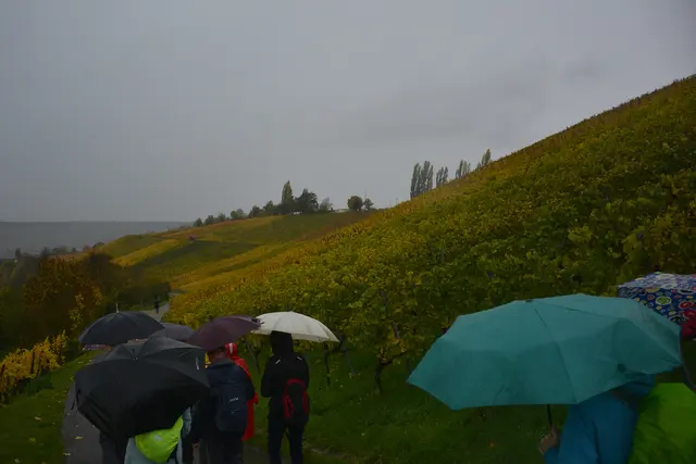 Regenschirmparade. | Foto: Michael Harmsen